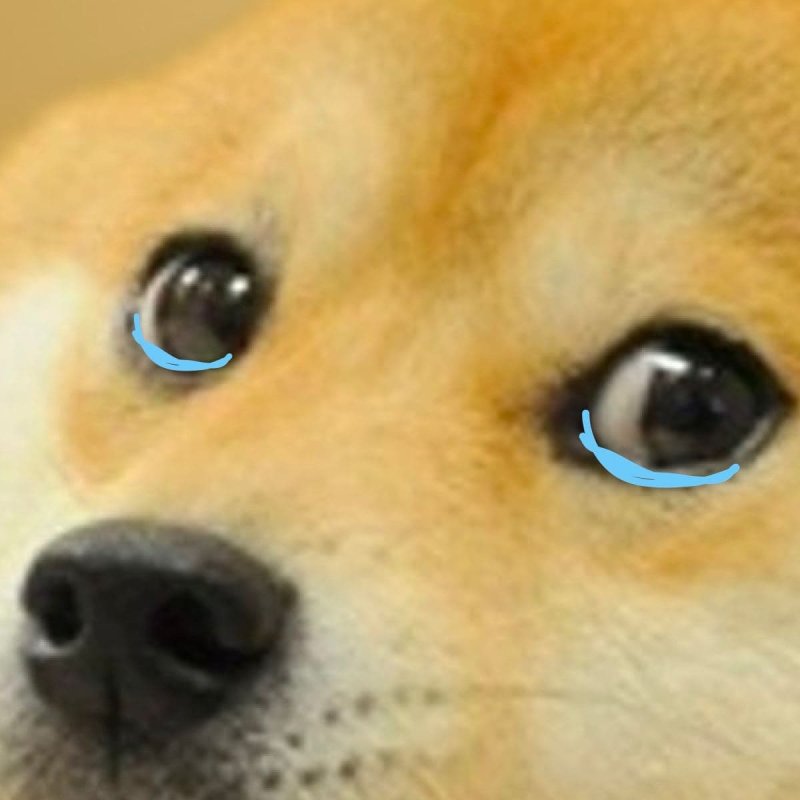 Грустная собака Мем