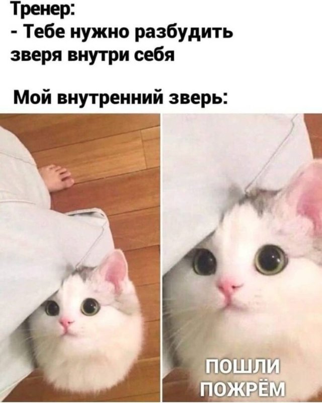 Внутренний зверь Мем