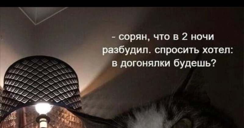 Пошли пожрем картинка