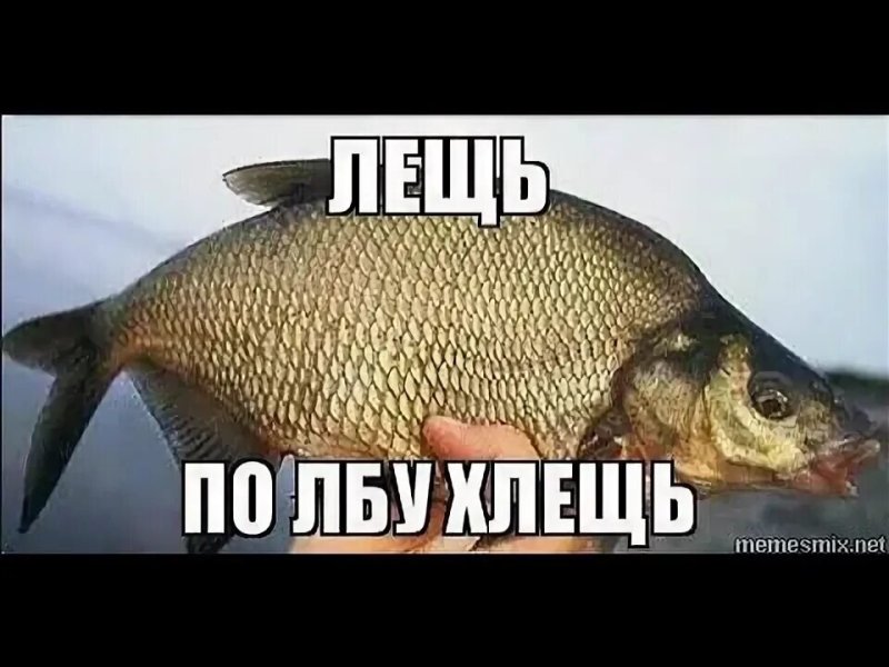 Лещ смешной