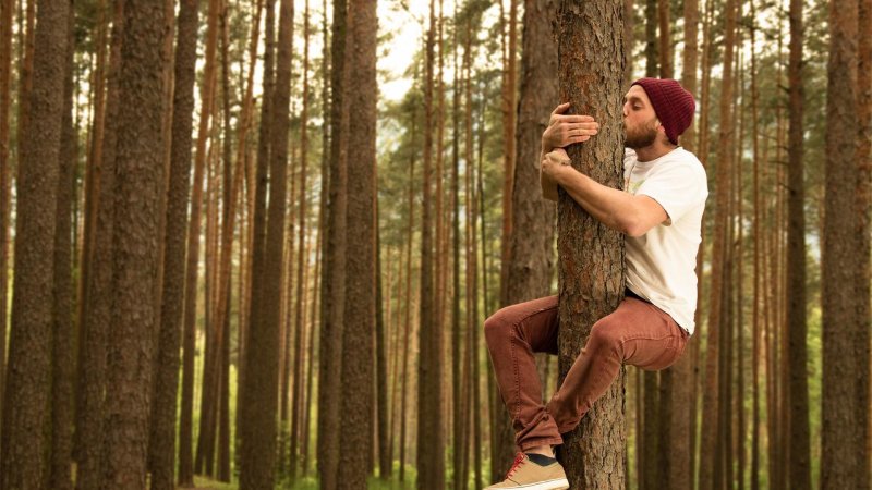 Человек обнимает дерево