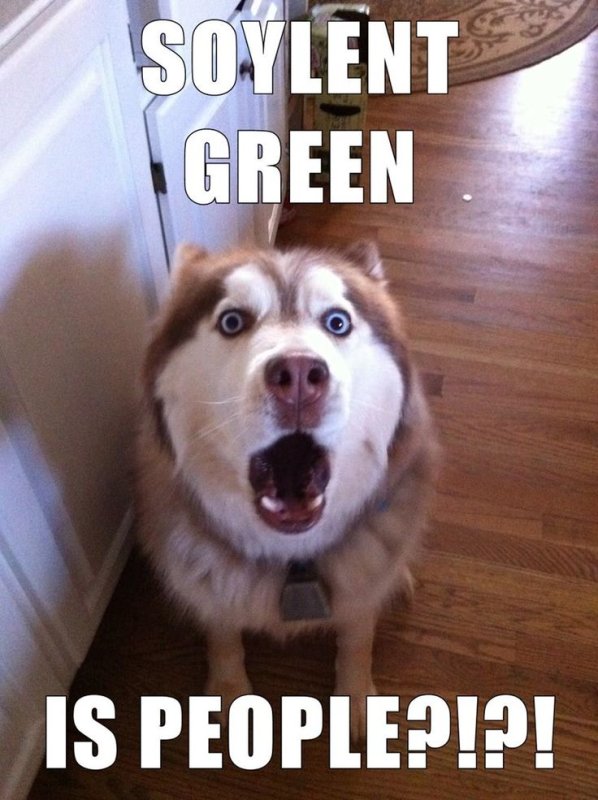 Удивление животные