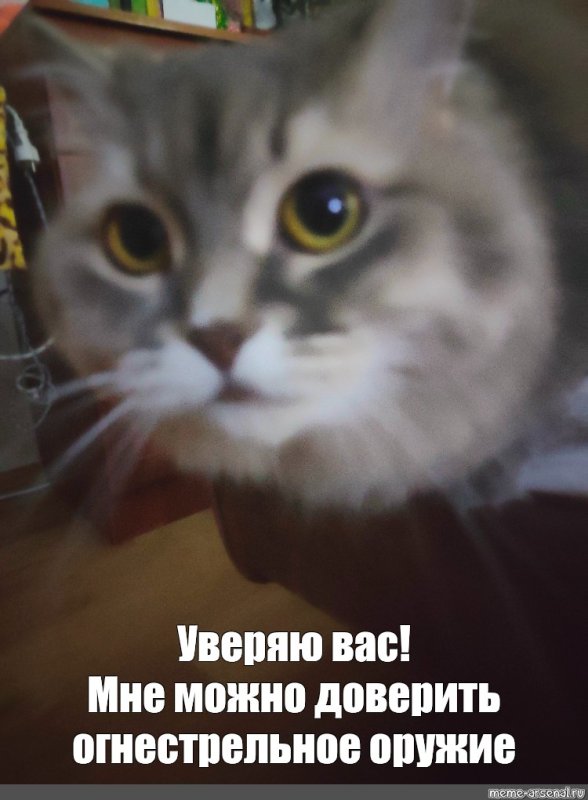 Мне можно доверить оружие Мем