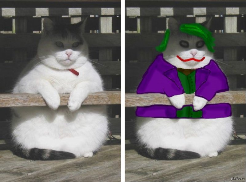 Кот Джокер Мем