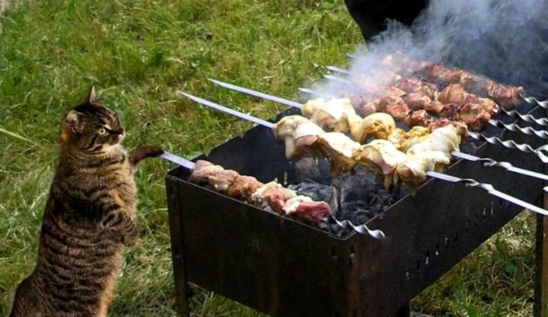 Шашлыки на даче