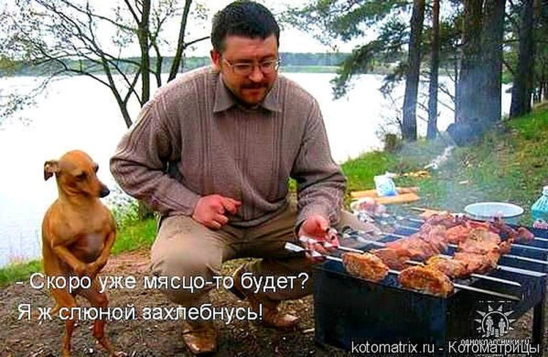 Шашлык картинки прикольные