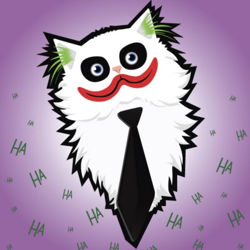 Кот Джокер Мем