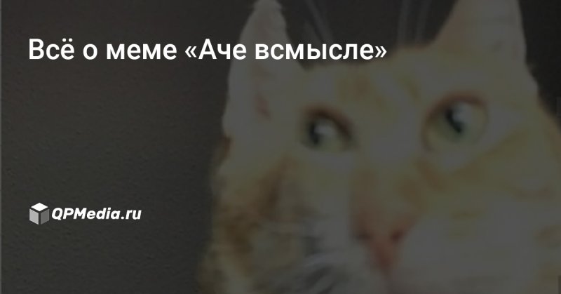 Ачё всмысле кот Мем