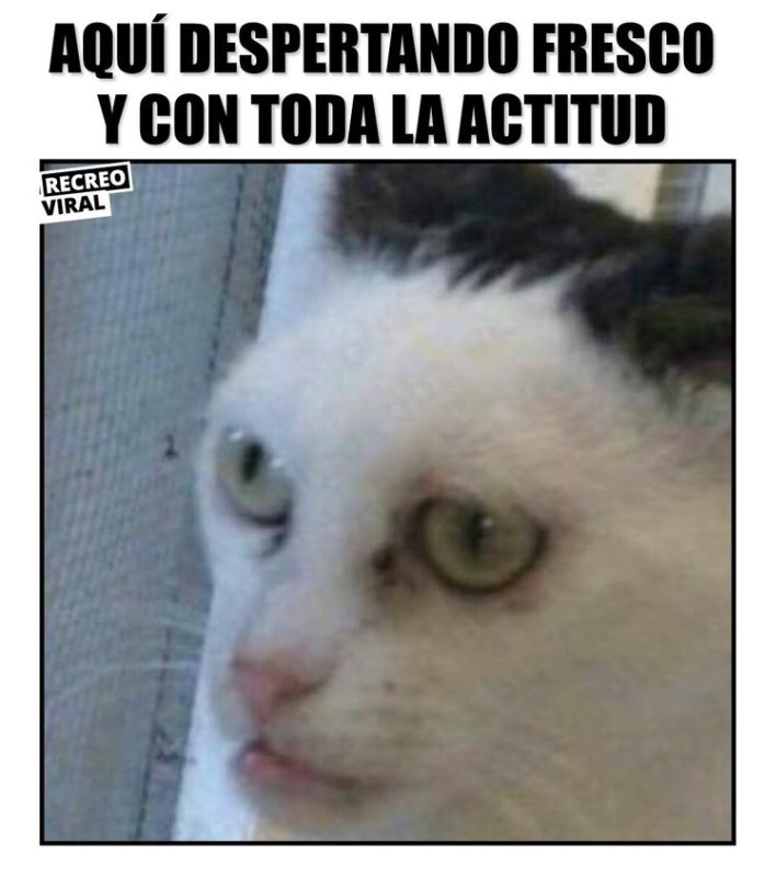 Вот и кончились хихоньки хахоньки