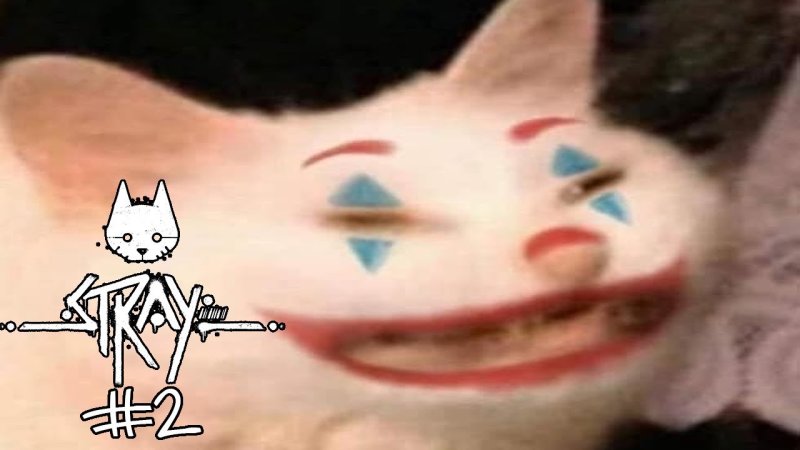 Белый кот Джокер