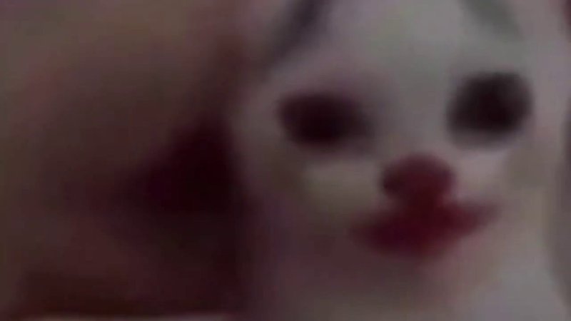 С вами я Джокер Виктор Дудка