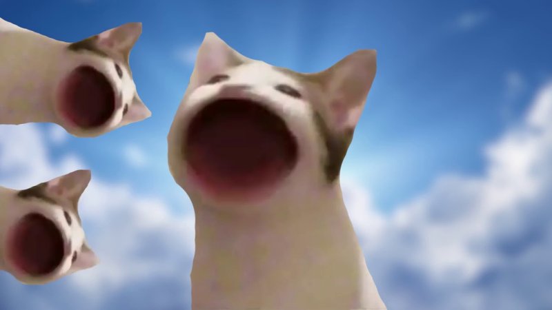 Кричащий кот