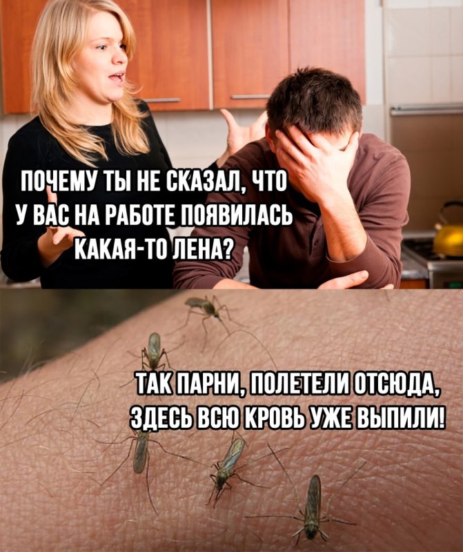 Бессовестный Мем