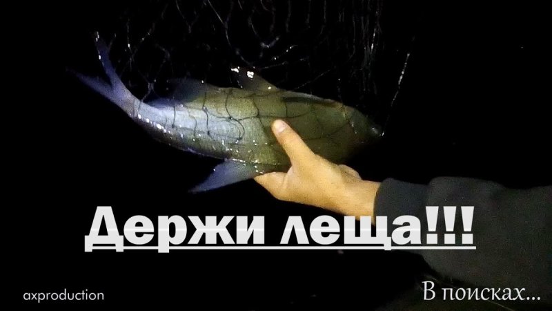 Держи леща прикол