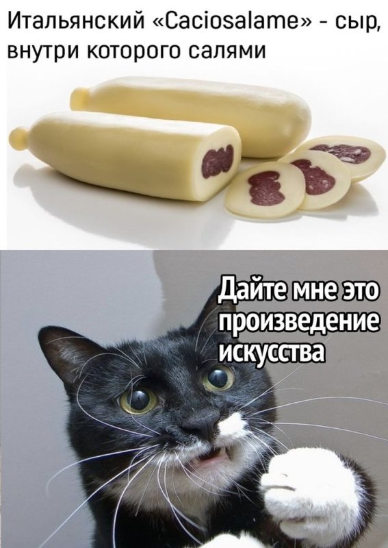 Смешной сыр