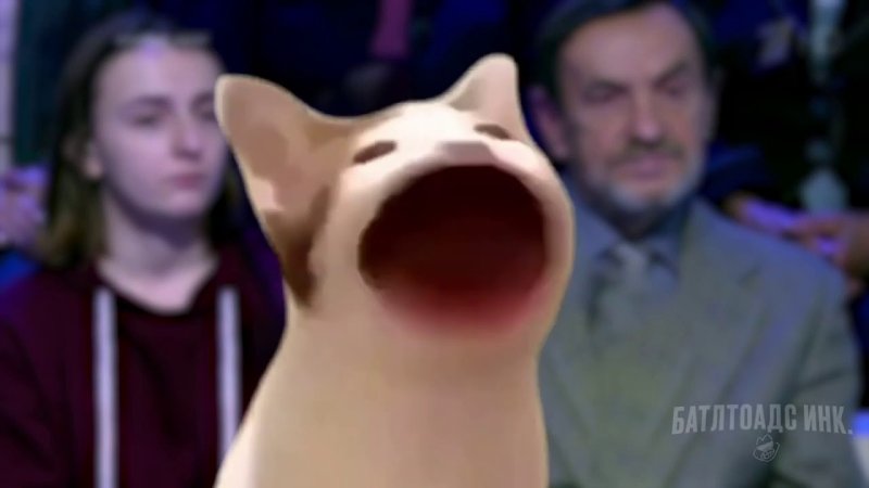 Поп кот с открытым ртом