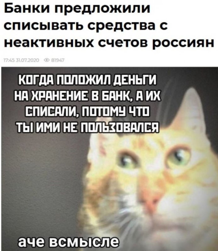 А че в смысле Мем кот