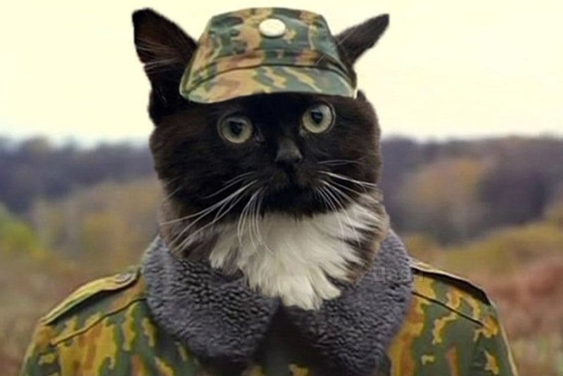 Чмоня Пупсич