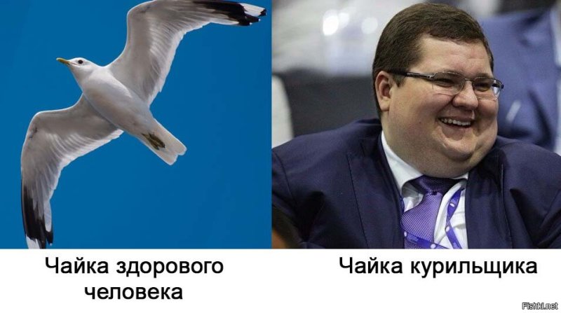 Игорь Чайка