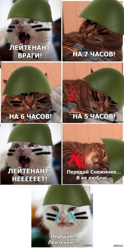 Военные коты мемы