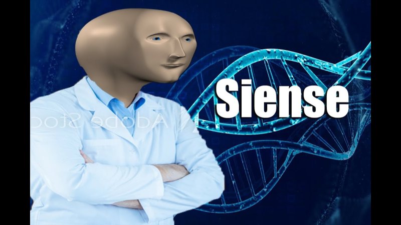 Мем Стонкс наука