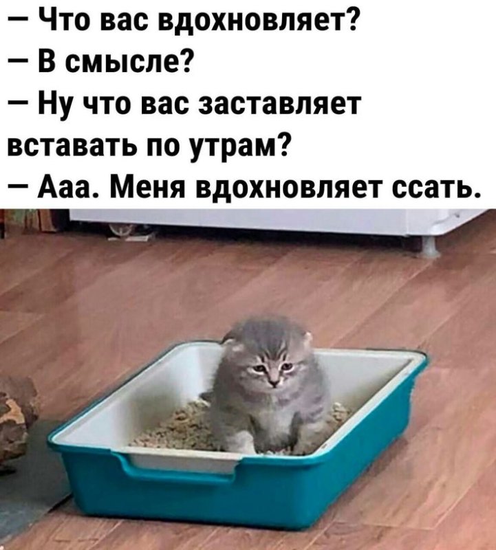 Смешные картинки с надписями 2023