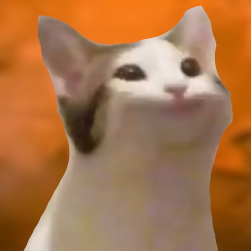 Кот Мем