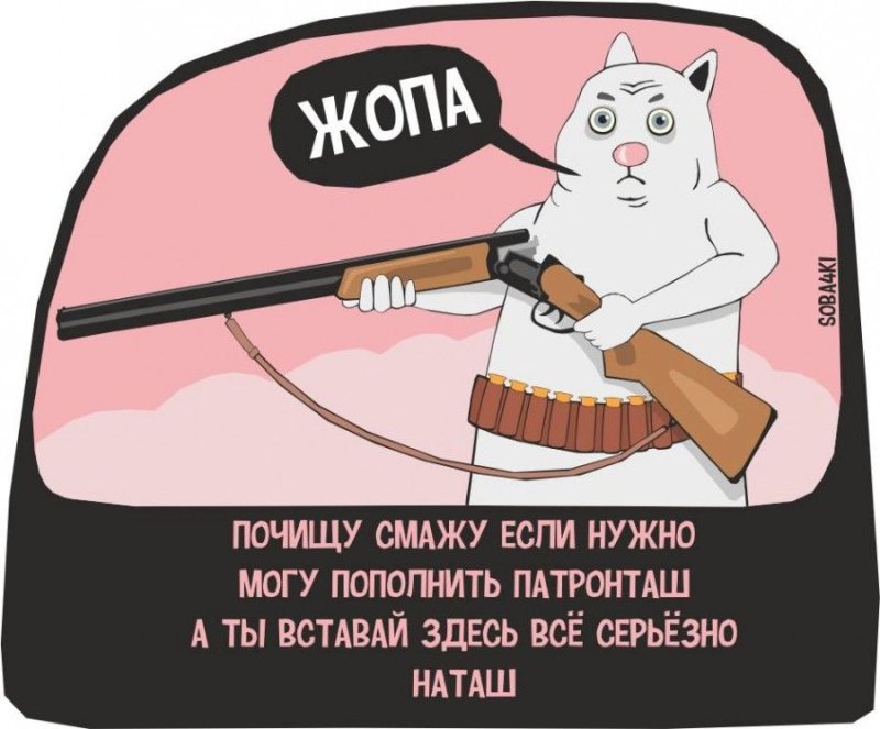 Мем про Наташу и котов