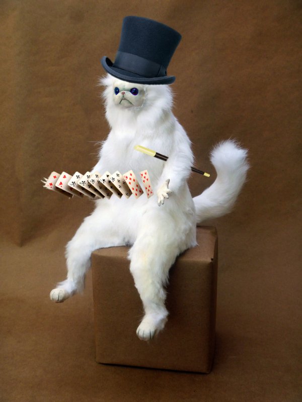 Чучело белого кота Мем