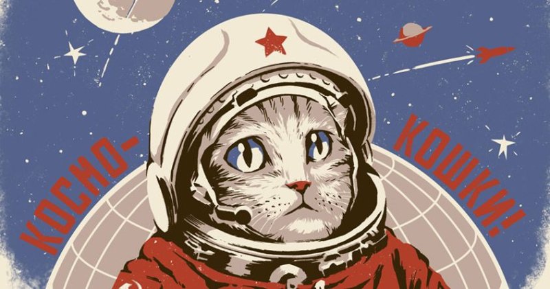 Кот в космосе