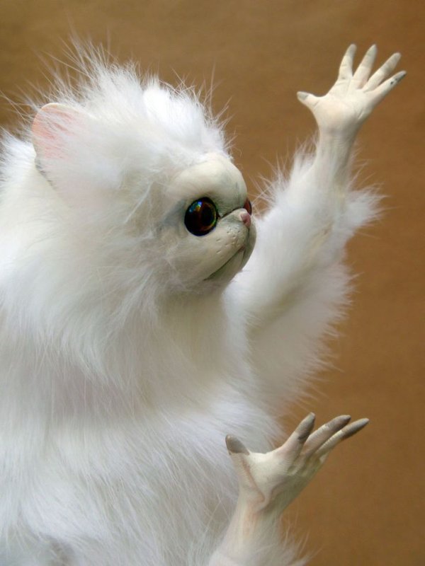 Смешные белые животные