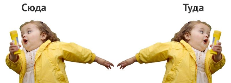 Бегает туда сюда