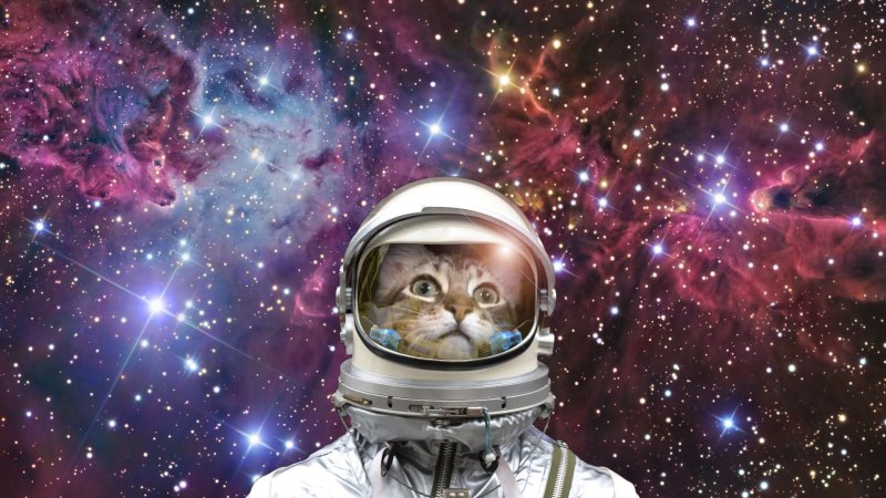 Космонавт в космосе