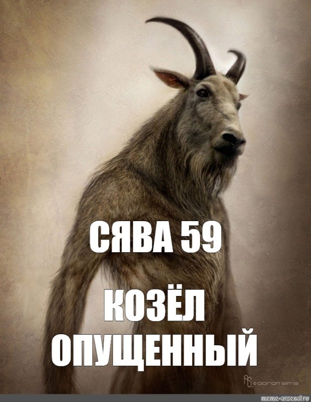 Мемы с козлами