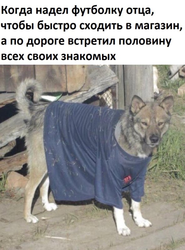 Когда вышел на улицу и встретил всех