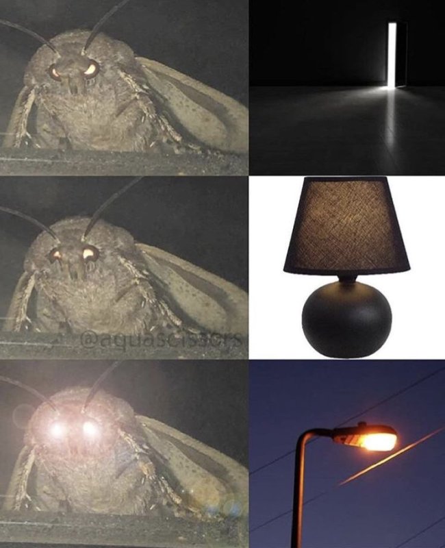 Смешная лампа