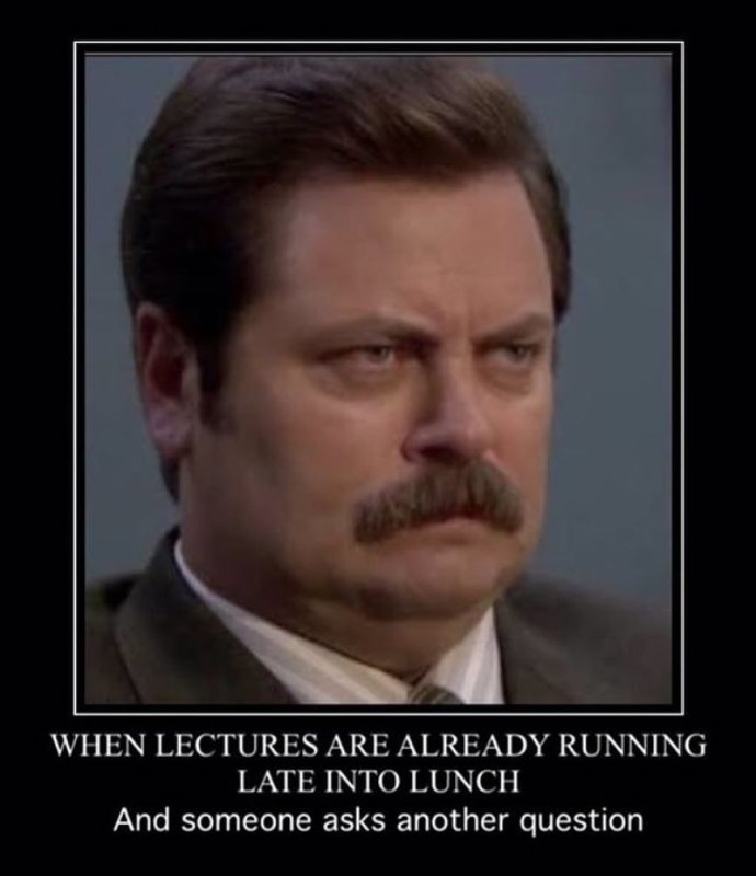 Рон Свонсон