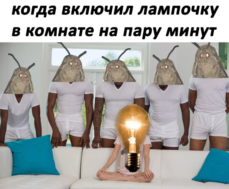 Мотылек Мем