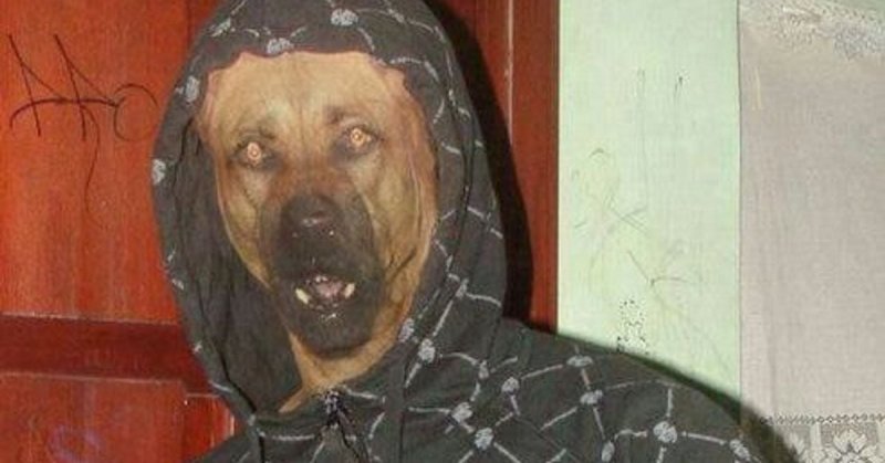 Собака в кожаной куртке