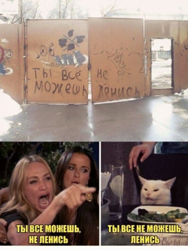 Кот и девушка Мем с надписями