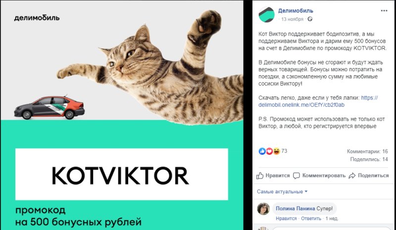 Кот Виктор Аэрофлот мемы