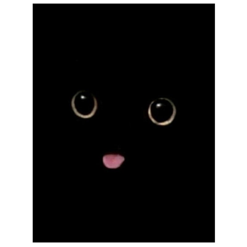 Черный кот Мем