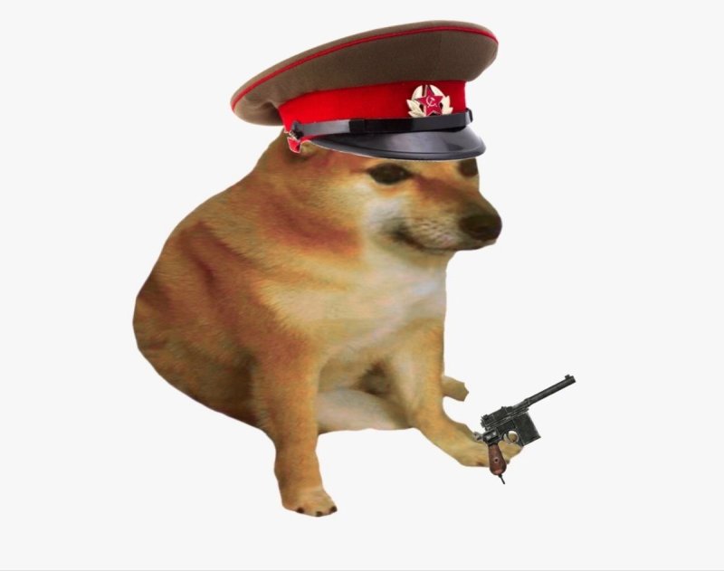 Супер собака