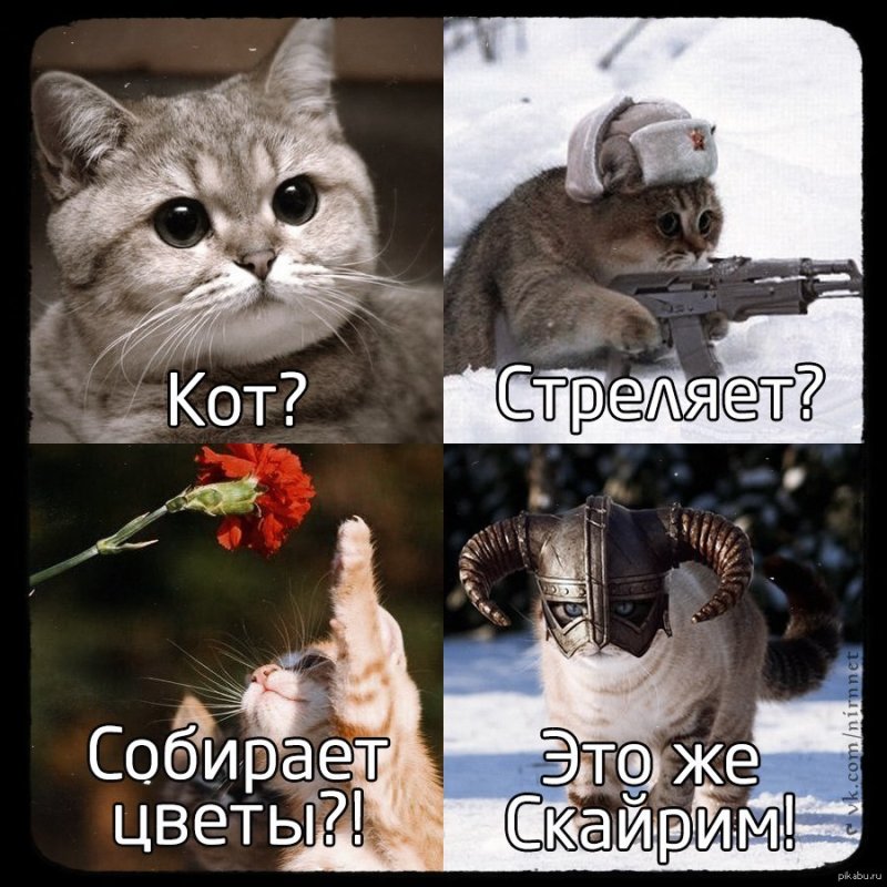 Кот Мем