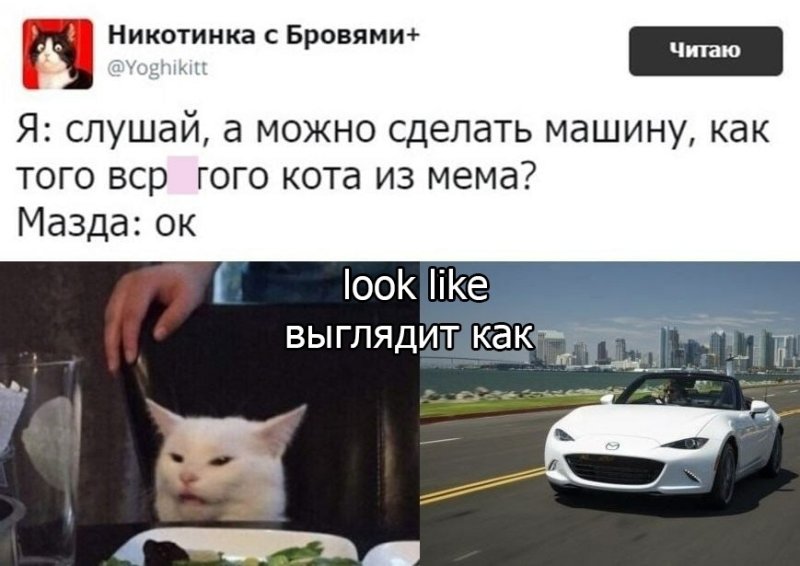 Машина похожая на кота
