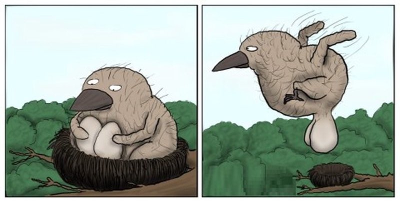 Воробей карикатура