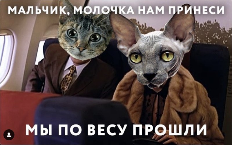 Мальчик молочка нам принеси