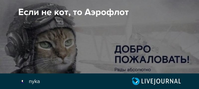 Толстый кот Виктор