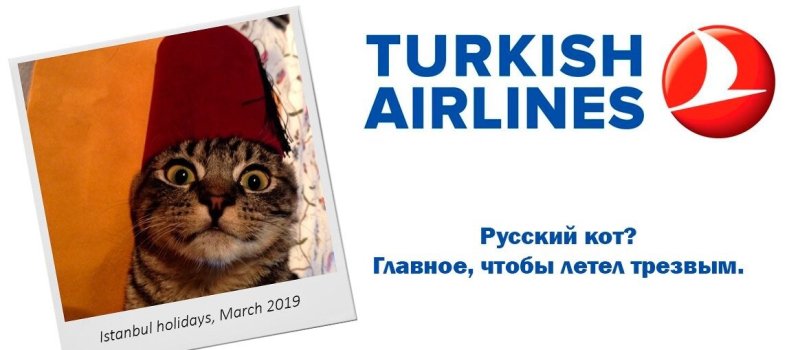 Мемы про Толстого кота и Аэрофлот