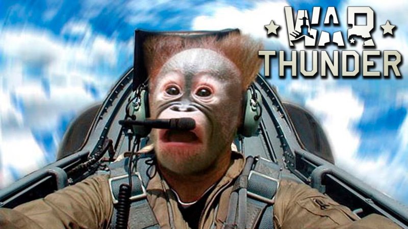 Обезьяна на танке